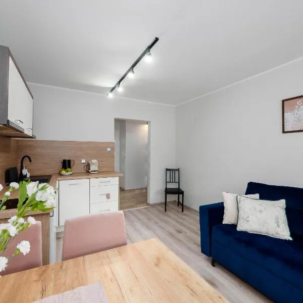 Best Choice 2-bedroom Apartment，位于普沃茨克的酒店