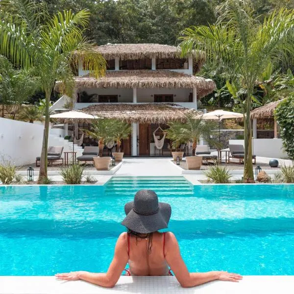 Vayu Retreat Villas，位于Palmar Sur的酒店