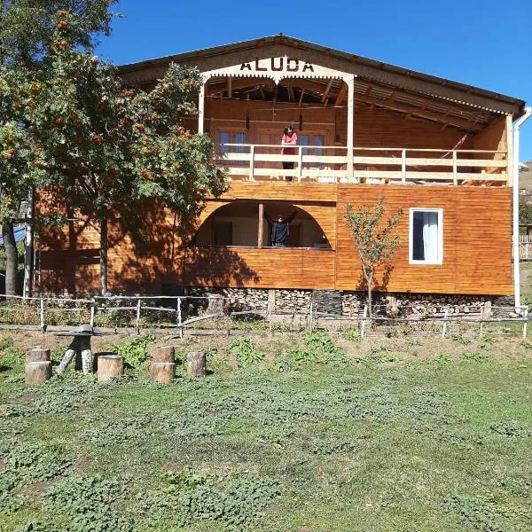Guest House ALUDA，位于Omalo的酒店