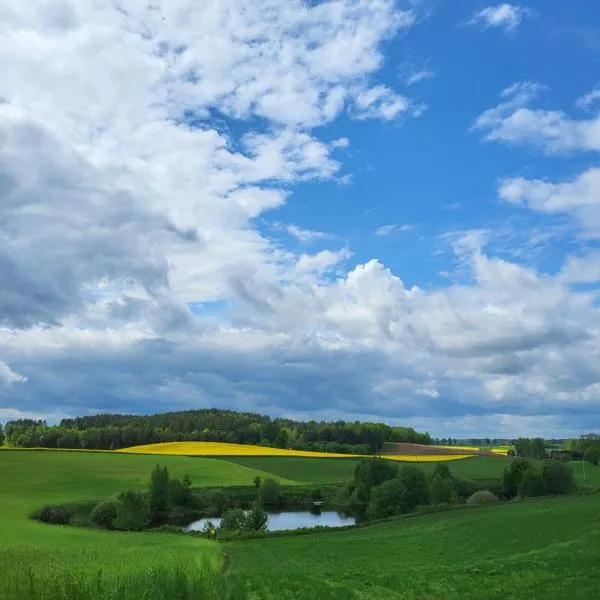 Agroturystyka Pod Lipą，位于Małe Leżno的酒店