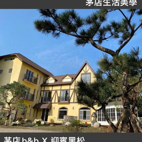 茅店BnB，位于Zhudong的酒店