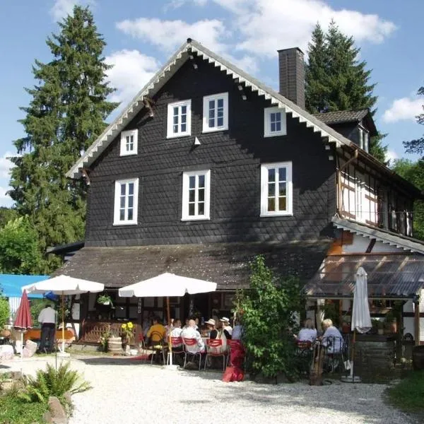 Doppelzimmer / Landhaus Ederlust Heilungsräume e.V.，位于Hatzfeld的酒店