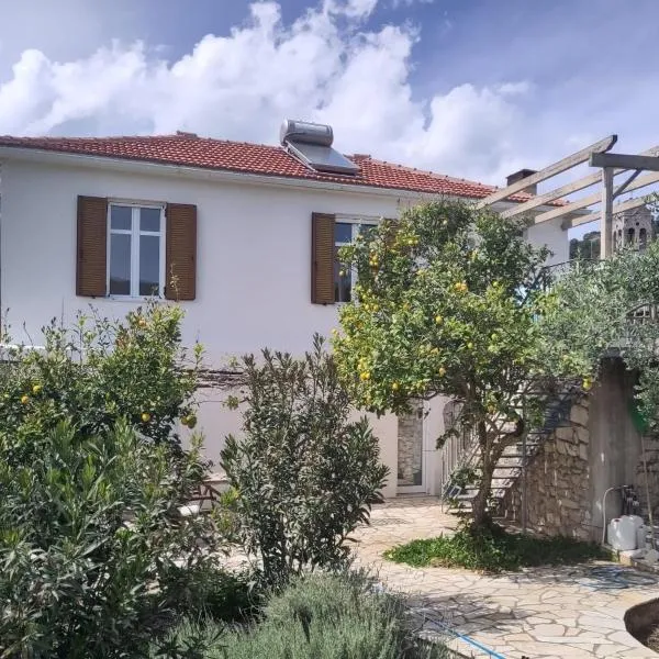 Metropolis Villa，位于瓦西的酒店