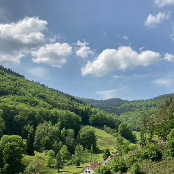 La belle vallée，位于Lalaye的酒店