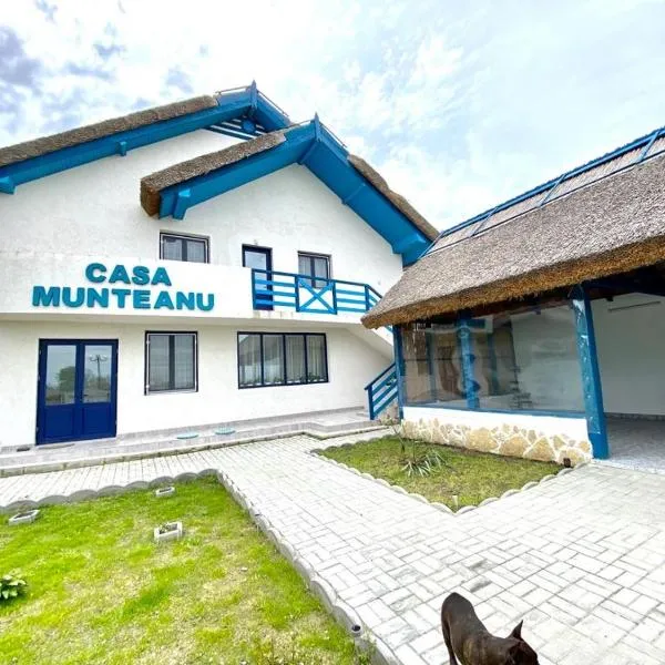 Casa Munteanu，位于Tatanir的酒店