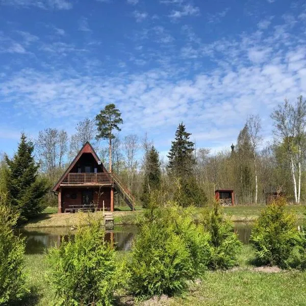 Holidayhouse with sauna and pond，位于Kiraste的酒店