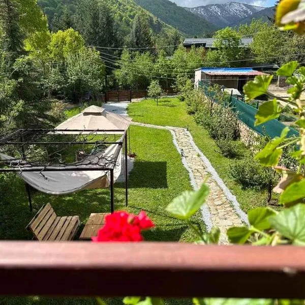Cosy Mountain Villa in Nizepole，位于Dolno Dupeni的酒店