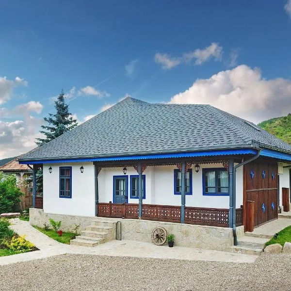 MAGNETIC HOUSE，位于特尔古奥克纳的酒店