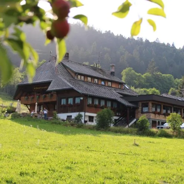 Das Schwarzwaldhotel，位于Vordertodtmoos的酒店