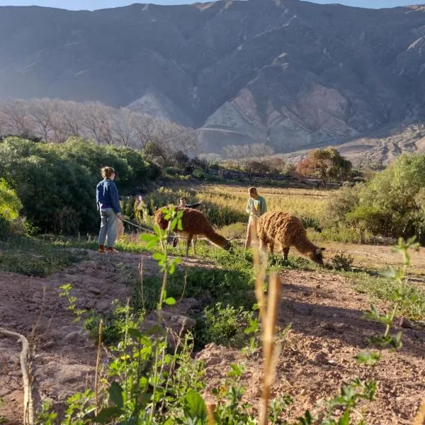 Dormir con llamas，位于麦马拉的酒店