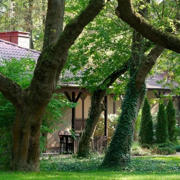 Lipowy Przylądek - Domek 1，位于Gzowo的酒店