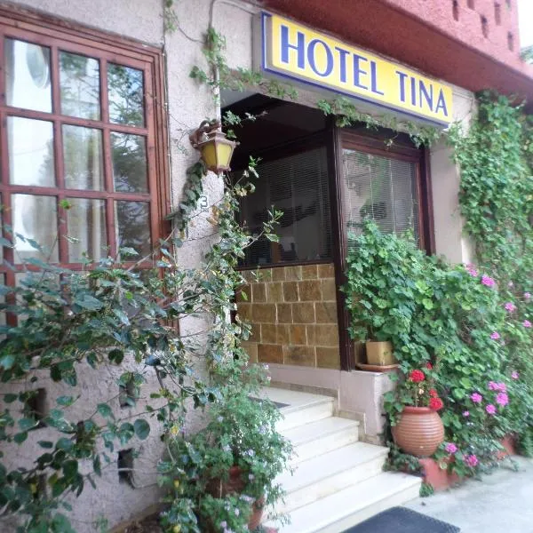 蒂娜酒店，位于Gerolakkos的酒店