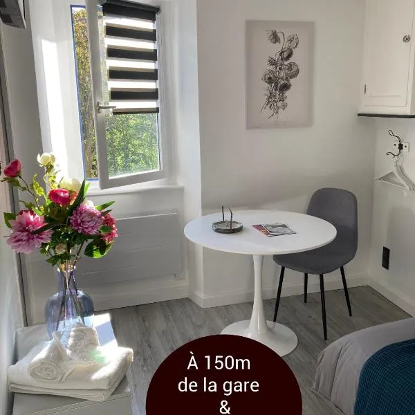 AUX 4 LOGIS Appart-hotel - Studio Le Flore - Petit déjeuner inclus 1ère nuit，位于富瓦的酒店