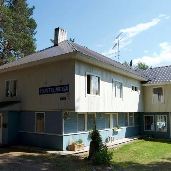 Metsa Hostel，位于沃索的酒店