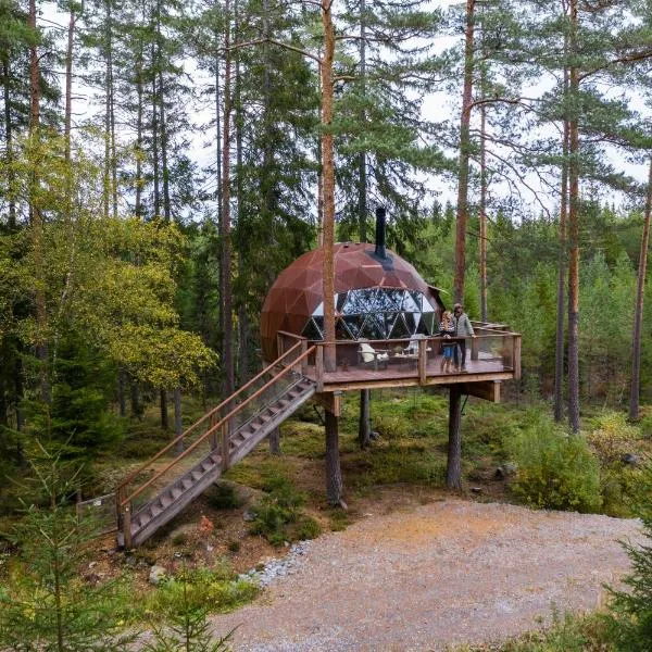 Treehouse dome，位于Bergstrøm的酒店