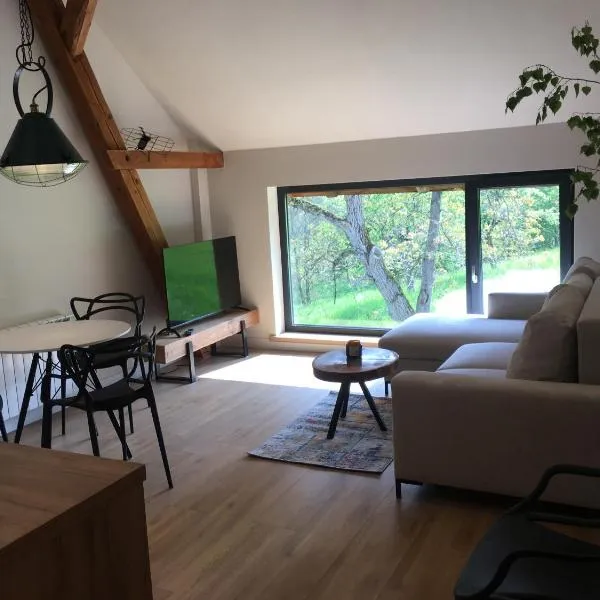 Apartament Ostoja，位于波兰尼卡-兹德鲁伊的酒店