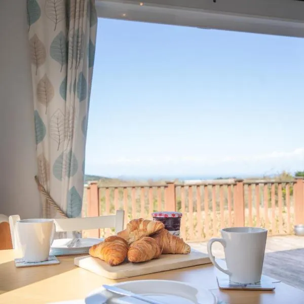 4 Meadow View Lodge - 2 Bed-sleeps 4-TJS4MV，位于伍拉科姆的酒店