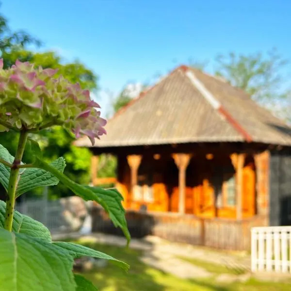 Green bunny guesthouse，位于Salkhino的酒店