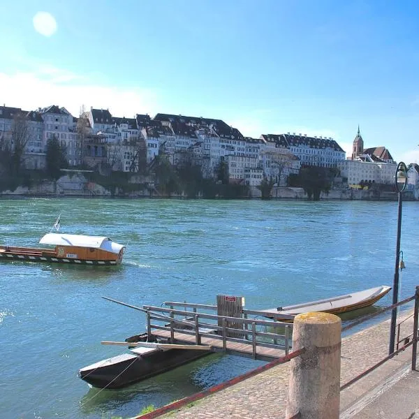 RIVERSIDE - APARTMENTS BASEL deluxe，位于巴塞尔的酒店
