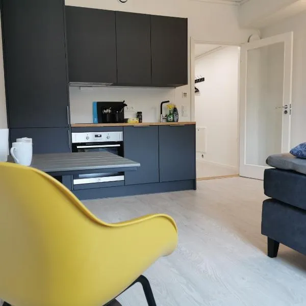 Lofoten Studio Apartment, Vestermyrveien 11 Svolvær，位于斯沃尔韦尔的酒店