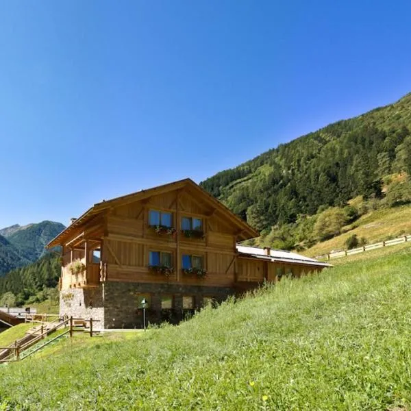 Hotel Chalet Alpenrose Bio Wellness Naturaktivhotel，位于科戈洛的酒店