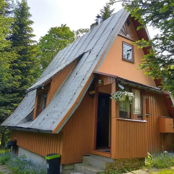 ELDORADO - całoroczny domek wakacyjny 35 km od Krakowa，位于Stróża的酒店