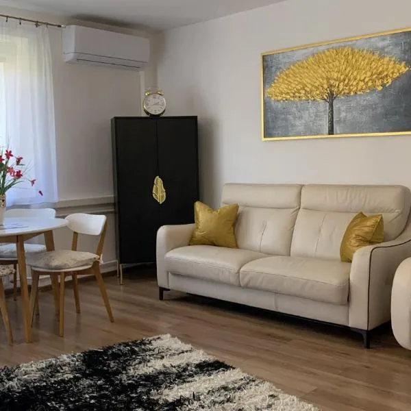 Golden Apartament Legionów，位于Zła Wieś Wielka的酒店