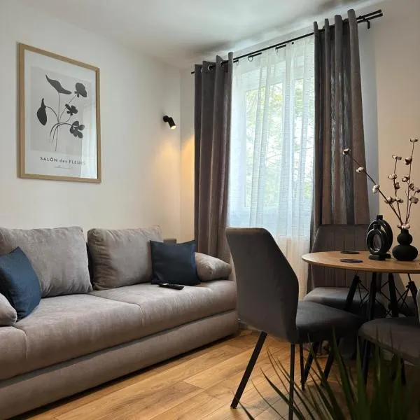 Modern Cozy Apartment Zalau，位于Brebi的酒店