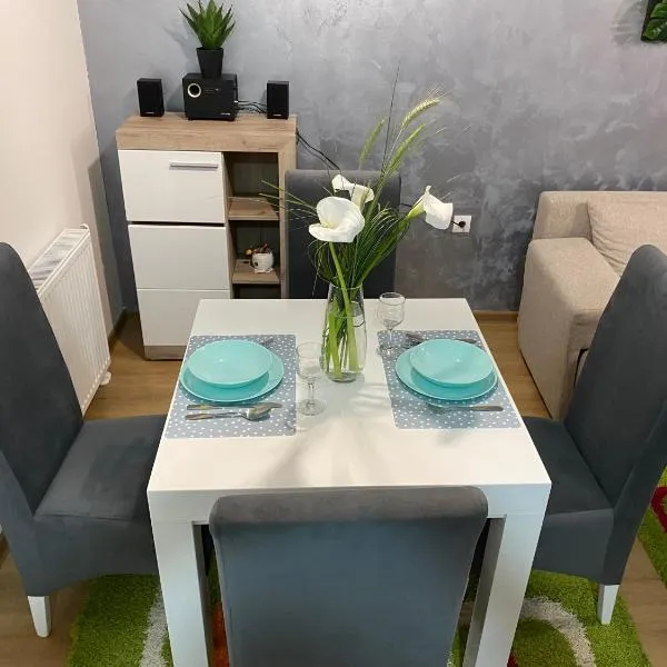 Apartman Popović，位于鲁马的酒店