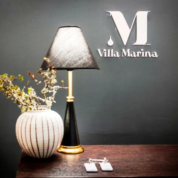 Villa B&B Marina & Parking Free，位于罗维尼的酒店