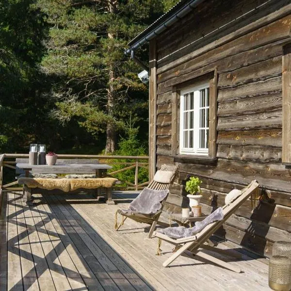 Koselig hytte med sjel på fjellet :)，位于Tjørhom的酒店