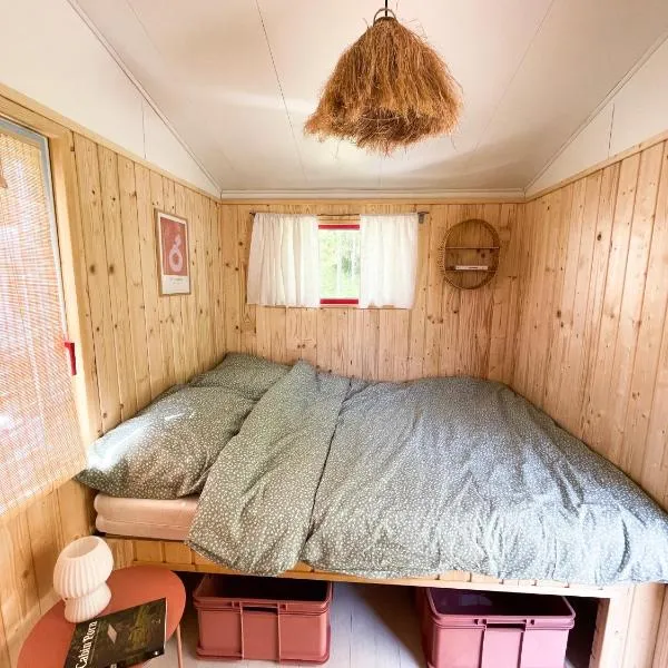 Camping Rogowo，位于姆热日诺的酒店