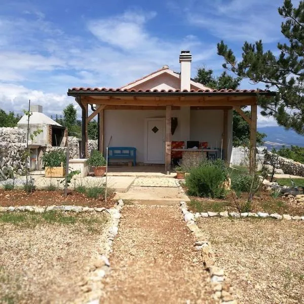 Rare find! Dogs Welcome Secluded Comfy House Krk，位于希洛的酒店