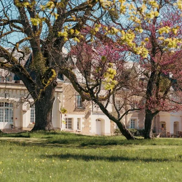 瑞泽城堡酒店，位于Francueil的酒店