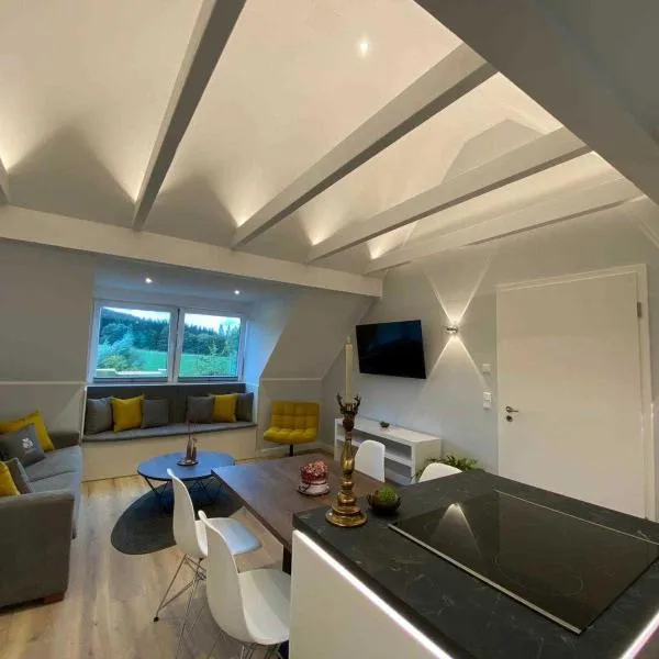 DRIEHOF Panorama Apartment Apt 8，位于泰克伦堡的酒店