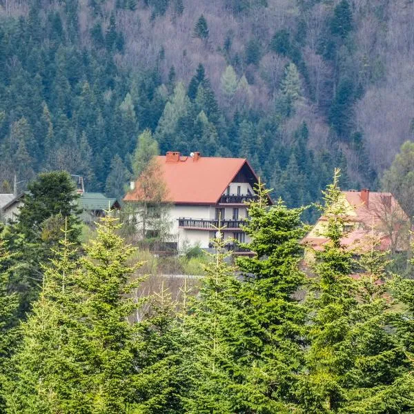 Agroturystyka Górski Wypoczynek，位于Stryszawa的酒店
