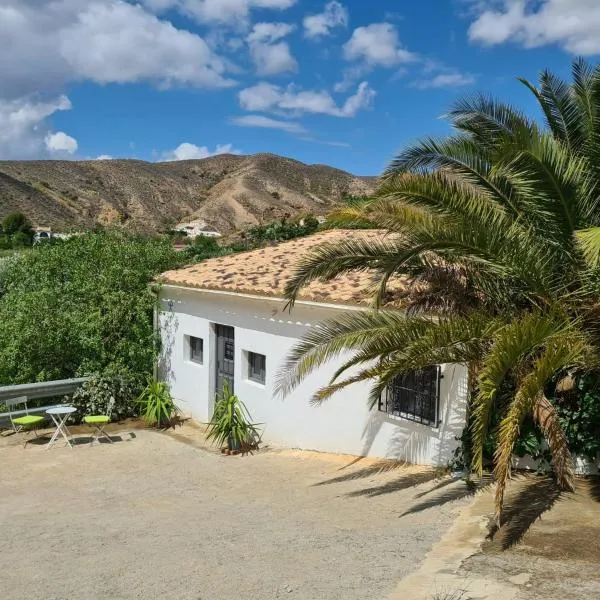 Casa Tropical, serene poolside retreat in nature，位于阿尔沃斯的酒店