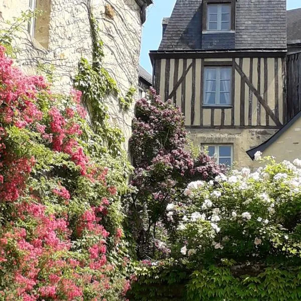 Petite Maison Romantique au calme, Cœur Historique Plantagenet, vue ville，位于阿纳齐的酒店