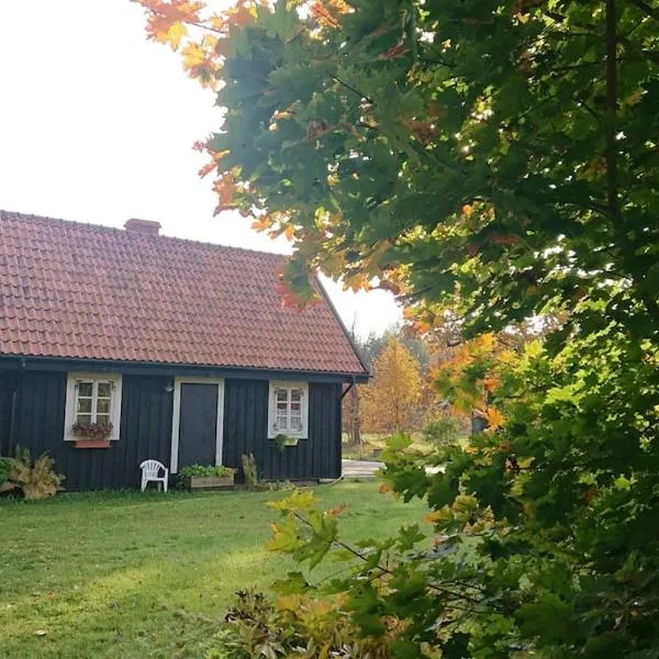 A cozy cottage where you can enjoy the peace of the countryside，位于Dzeņi的酒店