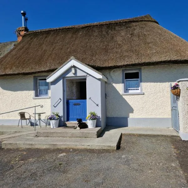 Suir Valley Cottage.，位于克朗梅尔的酒店