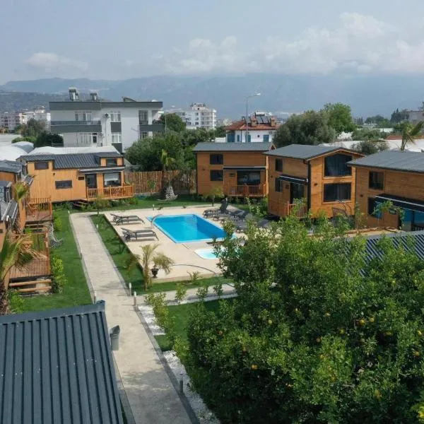 Hotel Palm House，位于代姆雷的酒店