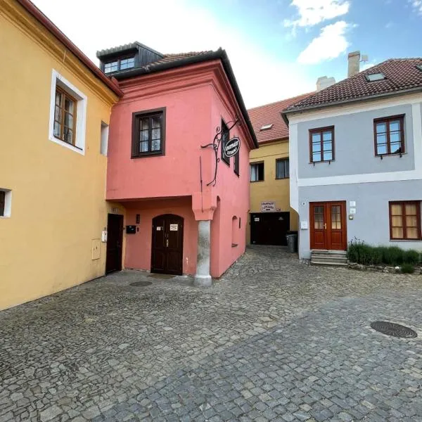 Apartmany u Synagogy，位于Jaroměřice nad Rokytnou的酒店