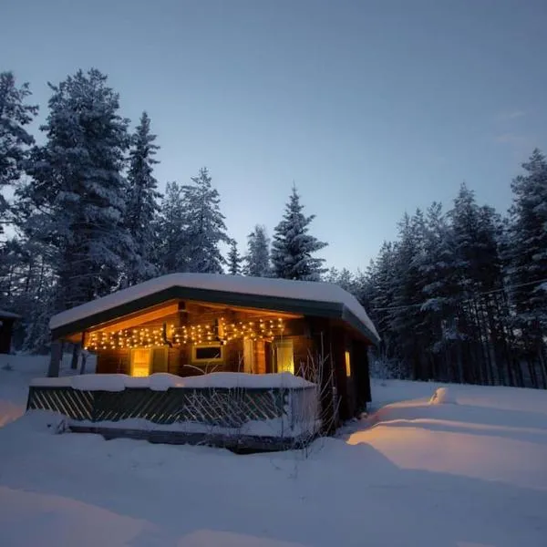 Log Cabin, forrest , sea view, north Sweden.，位于艾尔夫斯宾的酒店