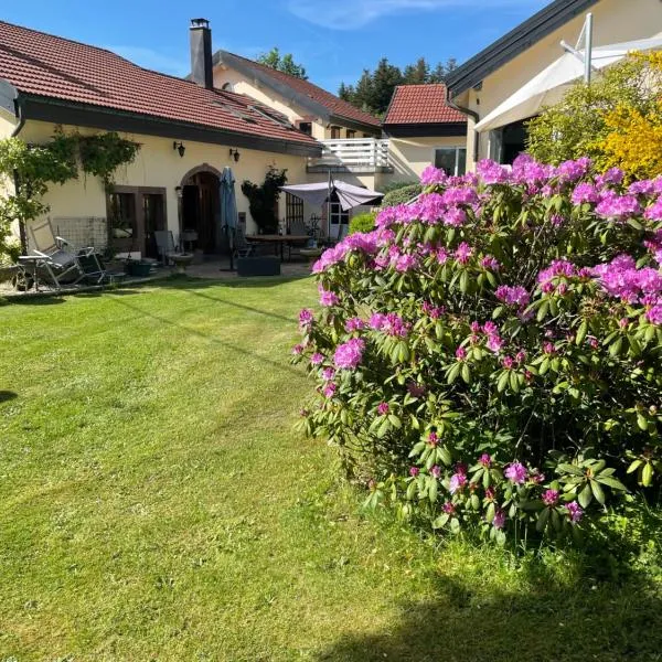 Chambres d’hôtes plateau des mille étangs，位于La Lanterne-et-les-Armonts的酒店