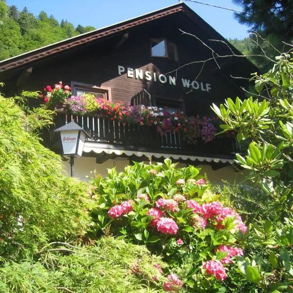 沃尔夫旅馆，位于奥西亚歇尔湖畔施泰因多夫的酒店