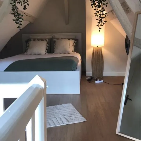 Charmant Duplex - Parking inclus - Au bord de l'Eure，位于沙特尔的酒店