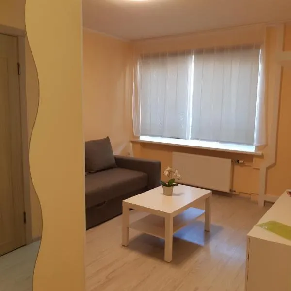 Small Breakwater Apartment，位于Grobiņa的酒店