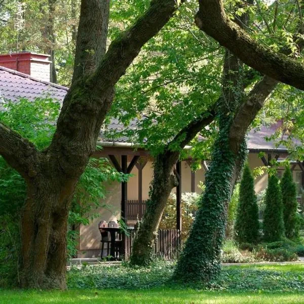 Lipowy Przylądek- Domek 12，位于Pokrzywnica的酒店