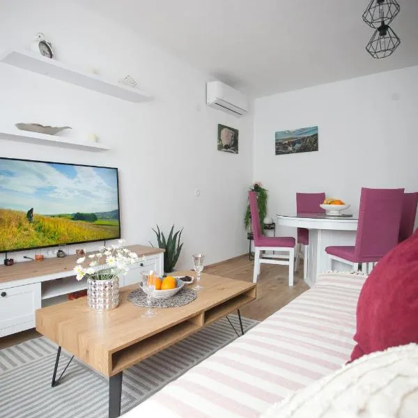 Apartment Tanja，位于Župa Srednja的酒店
