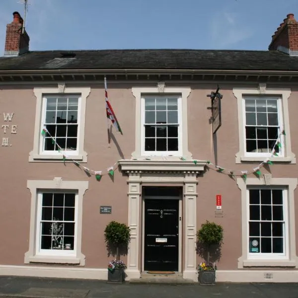 The New White Lion，位于兰达弗里的酒店